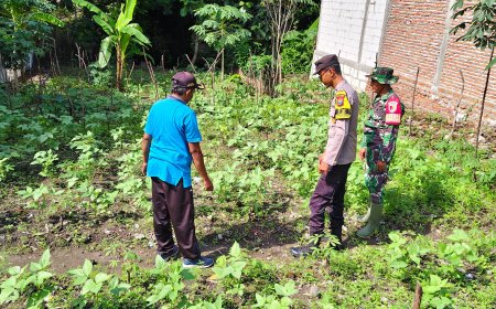 Bhabinkamtibmas Polsek Saradan Pantau Petani Kacang Hijau Dan Berikan Apresiasi