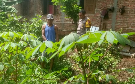 Pastikan Tanaman Di Perkarangan Rumah Subur, Bhabinkamtibmas Polsek Saradan Berikan Edukasi
