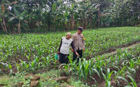 Bhabinkamtibmas Sambangi Petani: Pilar Kuat Penguatan Ketahanan Pangan Di Desa