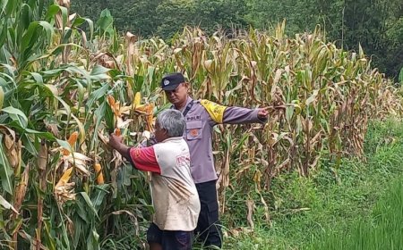 Sambang Petani, Bhabinkamtibmas Polsek Dagangan Dorong Swasembada Pangan