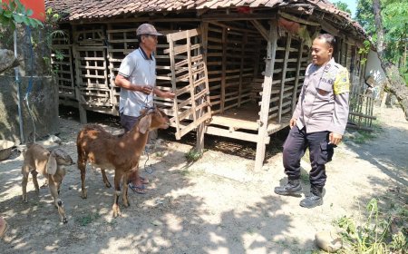 Dukung Ketahanan Pangan, Bhabinkamtibmas Polsek Balerejo Ajak Warga Desa Banaran Manfaatkan Lahan Pekarangan