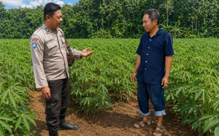 Lahan Singkong Produktif, Bhabinkamtibmas Desa Gemarang Apresiasi Semangat Bertani Warga