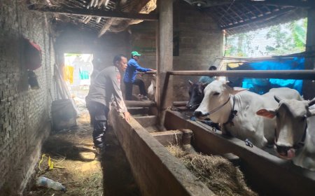 Dukung Ketahanan Pangan, Bhabinkamtibmas Warurejo Sambangi Kelompok Ternak Sapi