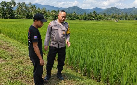 Hamparan Padi Menghijau, Bhabinkamtibmas Desa Durenan Berikan Semangat kepada Petani