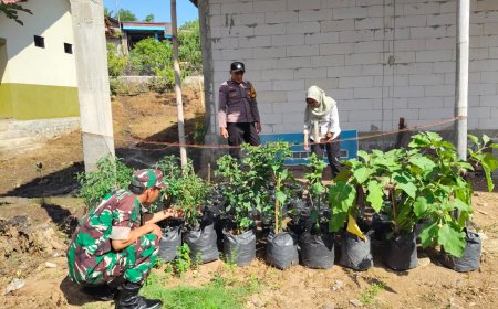 Kebun Bibit Sayuran Jadi Inspirasi, Bhabinkamtibmas Desa Nampu Dukung Ketahanan Pangan Berbasis Pekarangan