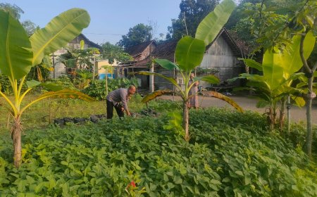 Bhabinkamtibmas Polsek Pilangkenceng Kunjungi warga Desa Kedungrejo, Dukung Program Ketahanan Pangan Nasional