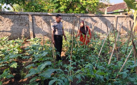 Bhabinkamtibmas Polsek Dagangan Dorong Pemanfaatan Pekarangan Pangan Bergizi di Desa Banjarsari Kulon