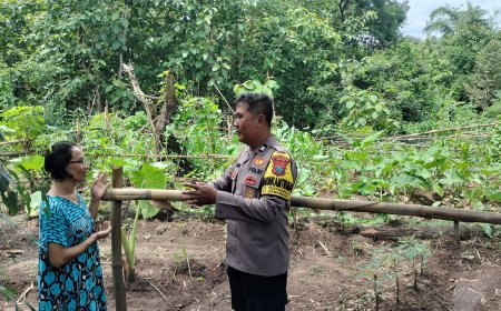 Pekarangan Hijau Semakin Produktif, Bhabinkamtibmas Desa Tawangrejo Ajak Warga Perkuat Ketahanan Pangan