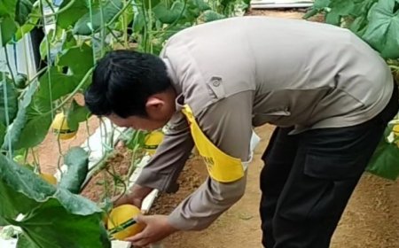 Bhabinkamtibmas Desa Kuwiran Dorong Pemanfaatan Pekarangan Rumah untuk Mendukung Ketahanan Pangan