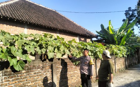 Bhabinkamtibmas Desa Wonoayu Dorong Pemanfaatan Pekarangan untuk Mendukung Ketahanan Pangan