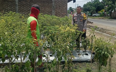 Bhabinkamtibmas Desa Mojorejo Kunjungi Lahan Tanaman warga, Dukung Program Ketahanan Pangan Nasional