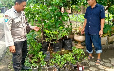 Pekarangan Rumah di Desa Gemarang Disulap Jadi Kebun Mini, Tanaman Pangan Tumbuh Beragam