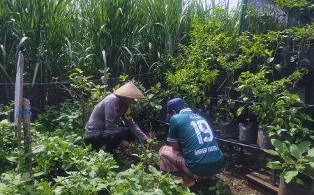 Kebun Pekarangan Hijau Dukung Ketahanan Pangan, Bhabinkamtibmas Desa Nampu Beri Pendampingan kepada Warga