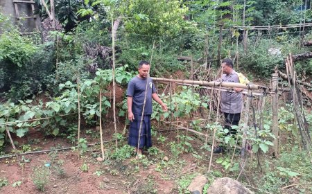 Sayuran Pekarangan Tumbuh Subur, Bhabinkamtibmas Desa Winong Dampingi Warga Rawat Lahan Produktif