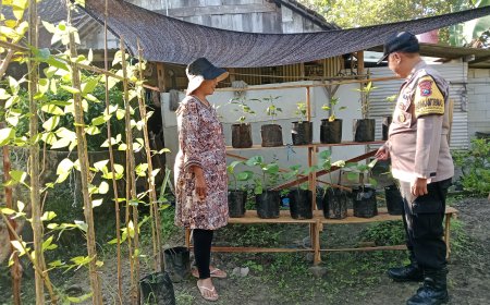 Bhabinkamtibmas Desa Luworo Ajak Warga Manfaatkan Pekarangan untuk Dukung Ketahanan Pangan