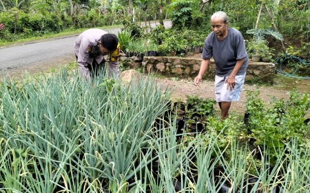 Bhabinkamtibmas Desa Kare Dorong Pemanfaatan Pekarangan untuk Mendukung Ketahanan Pangan Nasional
