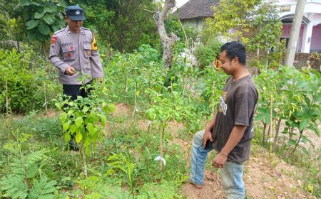Bhabinkamtibmas Desa Segulung Dorong Pemanfaatan Pekarangan untuk Mendukung Ketahanan Pangan