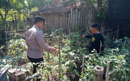 Bhbainkamtibmas Desa Balerejo Dorong Pemanfaatan Pekarangan Pangan Bergizi untuk Mendukung Ketahanan Pangan