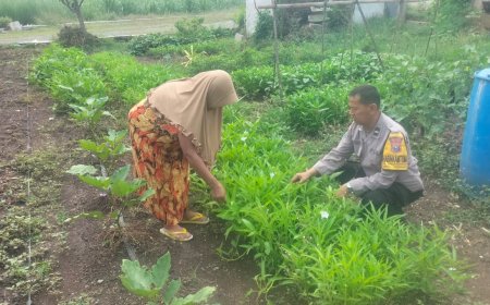 Bhabinkamtibmas Desa Pilangrejo Dorong Pemanfaatan Pekarangan untuk Mendukung Program Ketahanan Pangan
