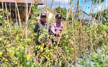 Bhabinkamtibmas Polres Madiun Dorong Ketahanan Pangan Melalui Sambang Lahan Pertanian Warga di Desa Kaibon