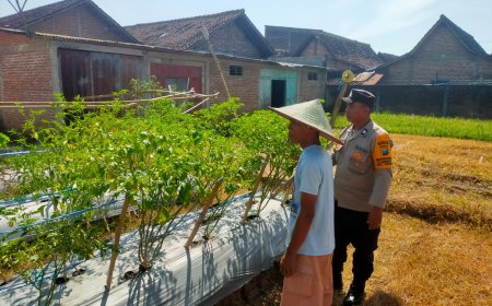 Bhabinkamtibmas Polres Madiun Sambangi Lahan Pertanian Warga, Dukung Ketahanan Pangan Nasional
