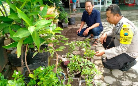 Bibit Cabai dan Tanaman Pekarangan Dirawat Bersama, Bhabinkamtibmas Desa Gemarang Berikan Pendampingan kepada Warga
