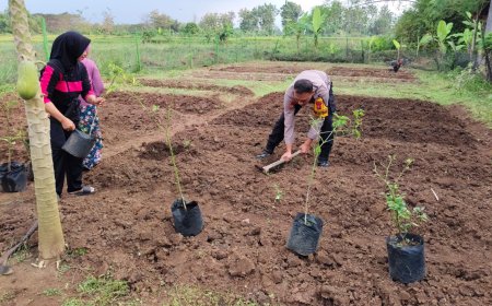 Lahan Kosong Disiapkan Jadi Kebun Produktif, Bhabinkamtibmas Desa Nampu Dampingi Warga Tanam Bibit Buah