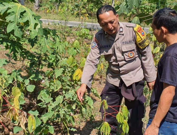 Bhabinkamtibmas Desa Kaligunting Dorong Pemanfaatan Pekarangan Pangan Bergizi untuk Dukung Ketahanan Pangan Nasional