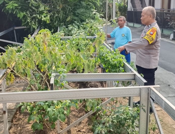 Bhabinkamtibmas Desa Purwosari Dorong Pemanfaatan Pekarangan Pangan Bergizi untuk Perkuat Ketahanan Pangan Nasional