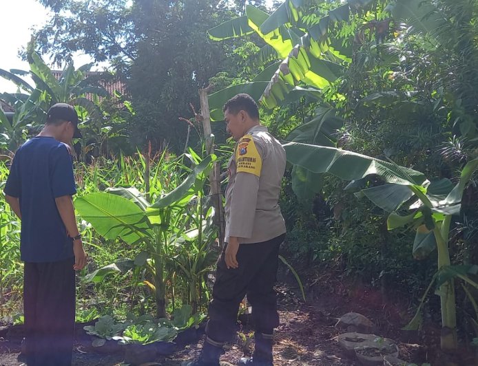 Pekarangan Hijau Jadi Sumber Pangan, Bhabinkamtibmas Desa Sebayi Ajak Warga Maksimalkan Lahan Rumah