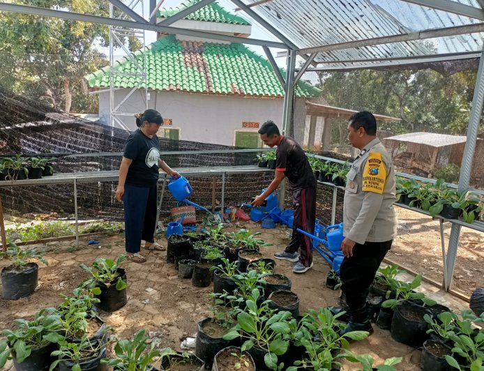Green House Sayuran Jadi Inspirasi Ketahanan Pangan, Bhabinkamtibmas Desa Winong Dampingi Warga Rawat Tanaman