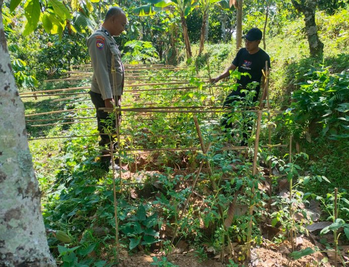 Pekarangan Sayur Tumbuh Subur, Bhabinkamtibmas Desa Durenan Dorong Warga Kembangkan Lahan Produktif