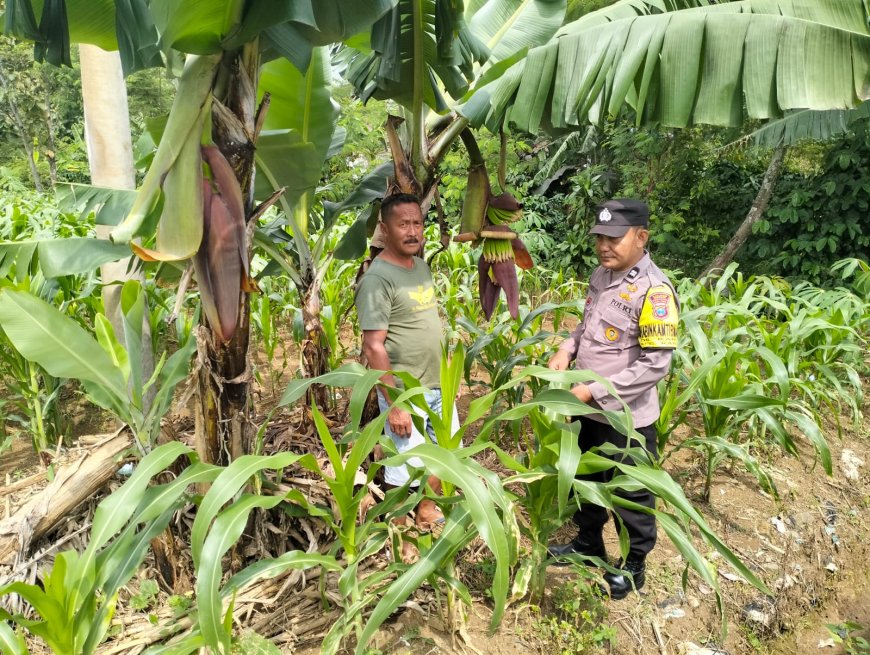 Apresiasi Diberikan Bhabinkamtibmas Aiptu Nuryanto Untuk Masyarakat Dalam Mendukung Ketahanan Pangan