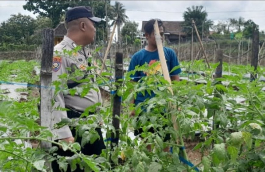 Aipda Yuda Kunjungi Warganya Dalam Ketahanan Pangan