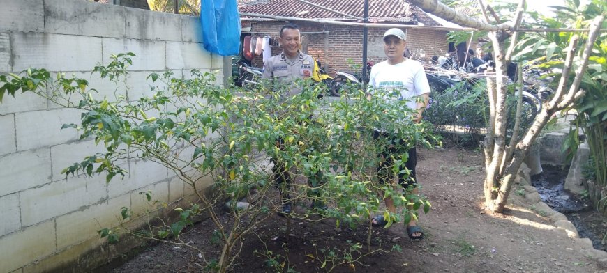 Demi Terwujudnya Ketahanan Pangan, Aipda Ribut Wraga Yang Manfaatkan Perkarangan Rumah