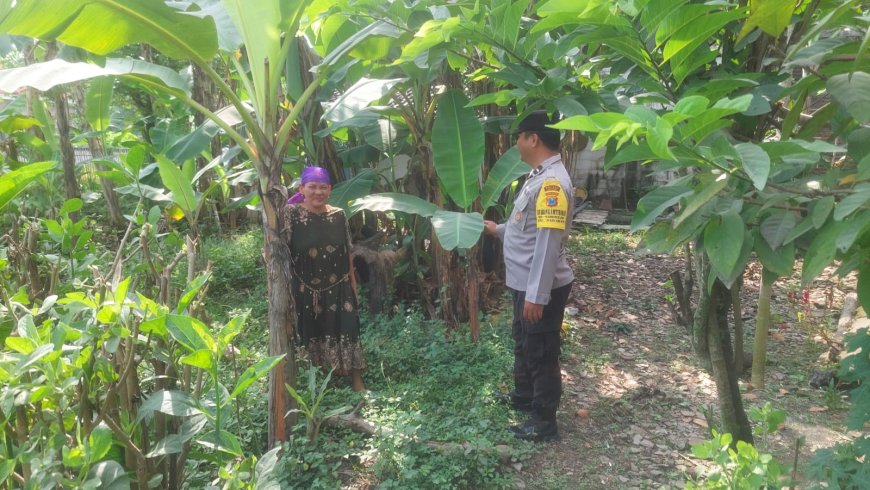 Bhabinkamtibmas Polsek Saradan Berikan Edukasi Kepada Warga Yang Manfaatkan Perkarangan Untuk Tanaman Pisang