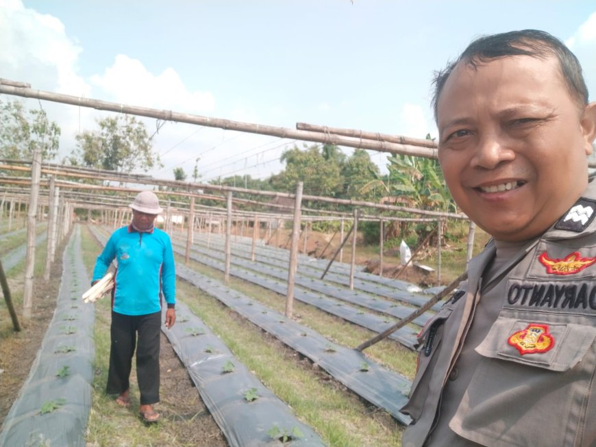 Bhabinkamtibmas Desa Warurejo Dorong Warga Manfaatkan Kebun Produktif Dukung Ketahanan Pangan