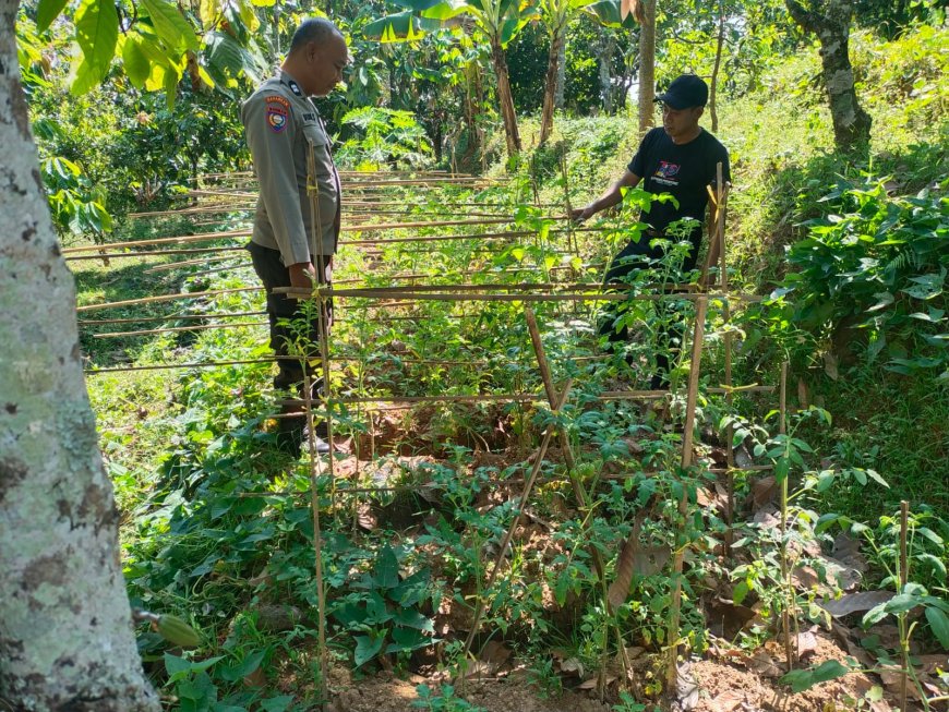 Kebun Sederhana Jadi Harapan Keluarga, Bhabinkamtibmas Desa Durenan Apresiasi Ketekunan Warga Merawat Tanaman