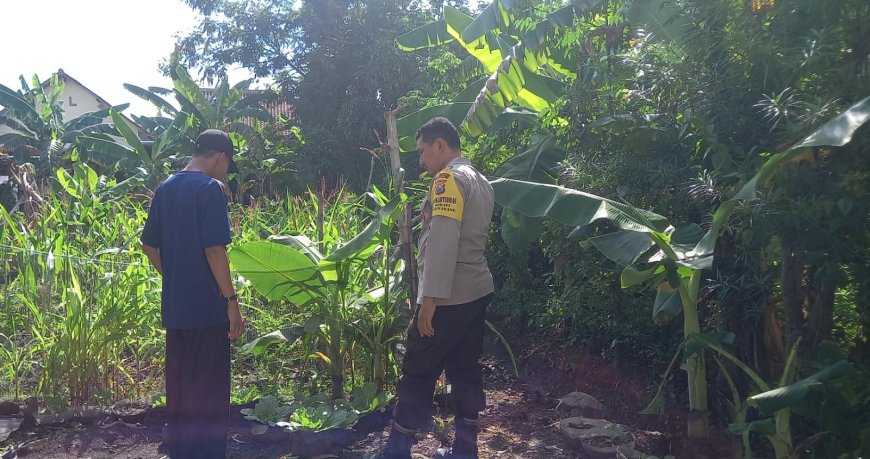 Pekarangan Sederhana Jadi Harapan Keluarga, Bhabinkamtibmas Desa Sebayi Dukung Warga Kembangkan Pangan Mandiri