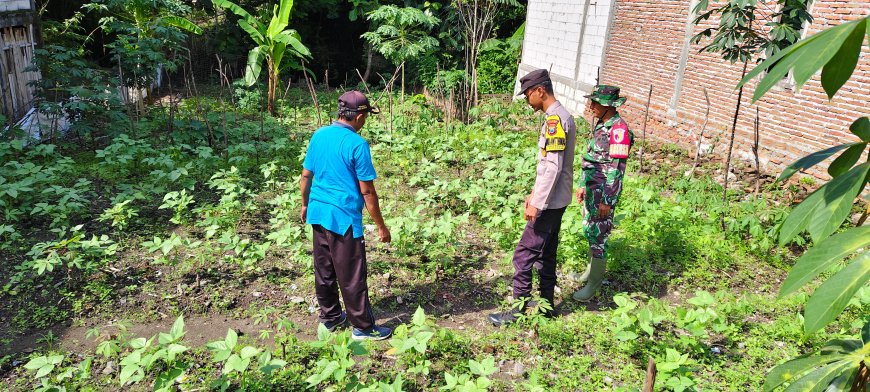 Bhabinkamtibmas Polsek Saradan Pantau Petani Kacang Hijau Dan Berikan Apresiasi