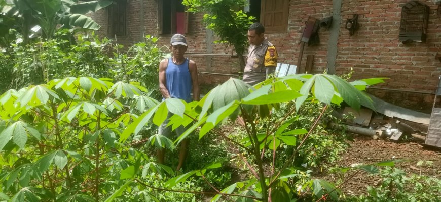 Pastikan Tanaman Di Perkarangan Rumah Subur, Bhabinkamtibmas Polsek Saradan Berikan Edukasi
