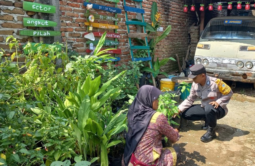Pak Bhabin Kunjungi KWT Makmur Dukung Ketahanan Pangan Nasional.