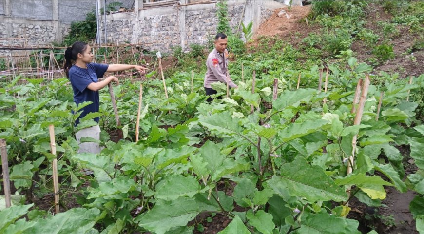 Dukung Ketahanan Pangan, Aiptu Dariyono Sambangi Area Pekarangan Terbatas Warga
