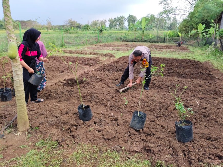 Manfaatkan Lahan Produktif, Bhabinkamtibmas Desa Nampu Dampingi Warga Kembangkan Ketahanan Pangan
