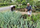 Dari Pekarangan hingga Sawah, Bhabinkamtibmas Dukung Gerakan Ketahanan Pangan