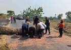 Polsek Geger Lakukan Evakuasi Pohon Tumbang di Jalur Kaibon Tasen, Pastikan Kelancaran Lalu Lintas