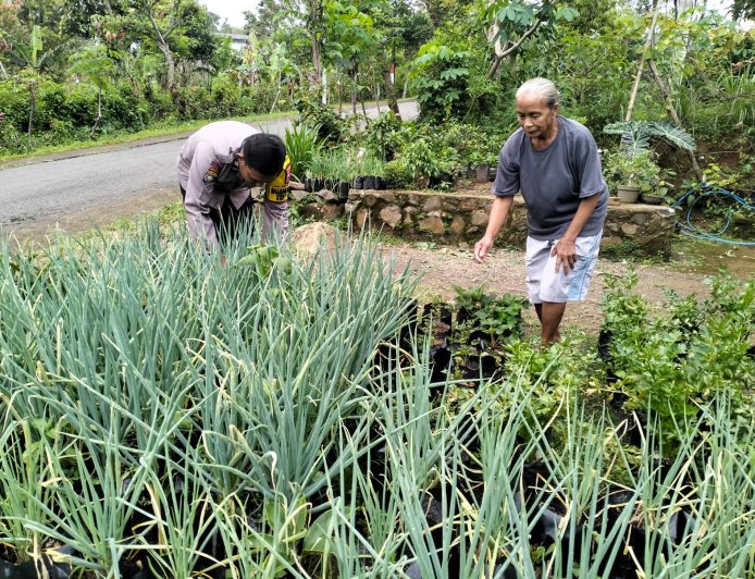 Bhabinkamtibmas Dorong Petani Tingkatkan Produktivitas, Ketahanan Pangan Semakin Kuat